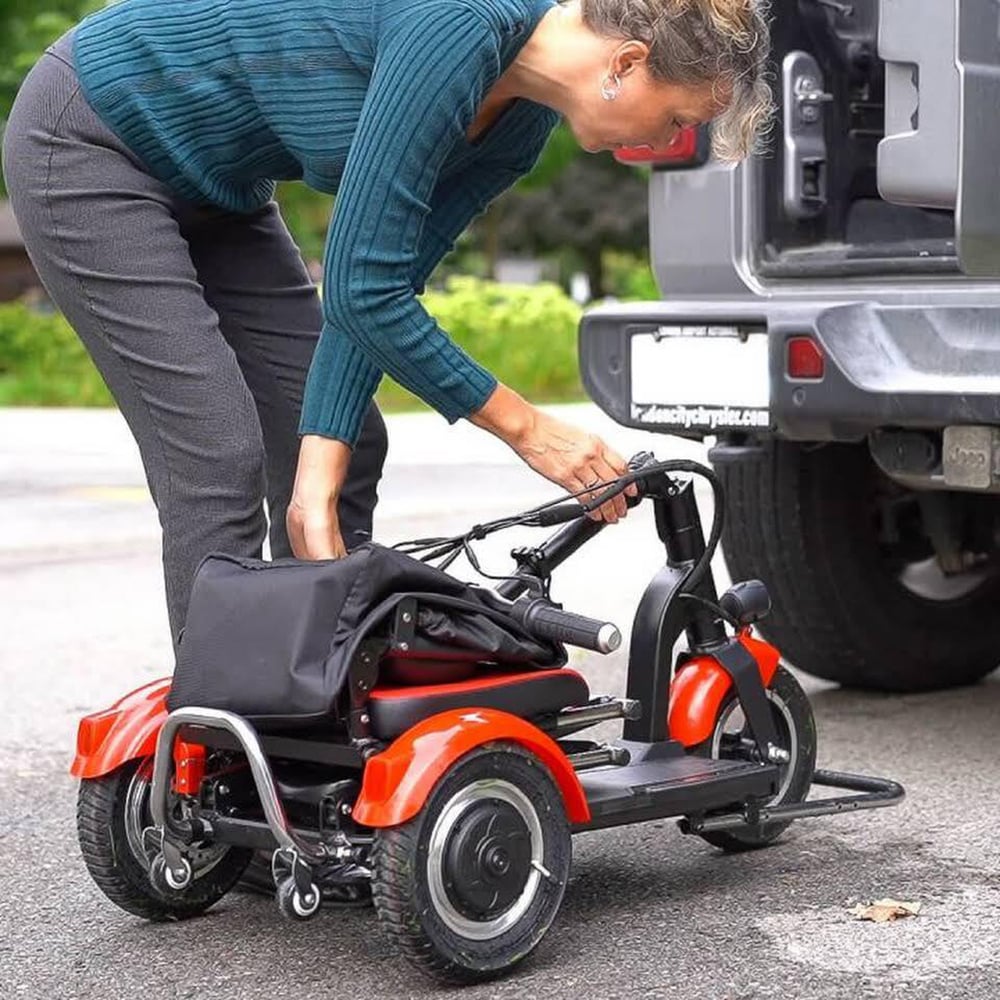 IVA Traveler 300 Zwart - IVA Mobility BV